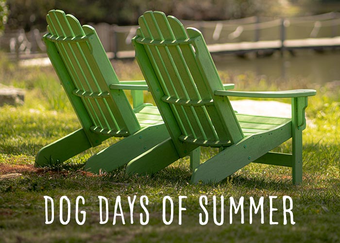 Dog Days of Summer